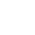 Fastspin